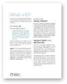 PDF:  What is EI?